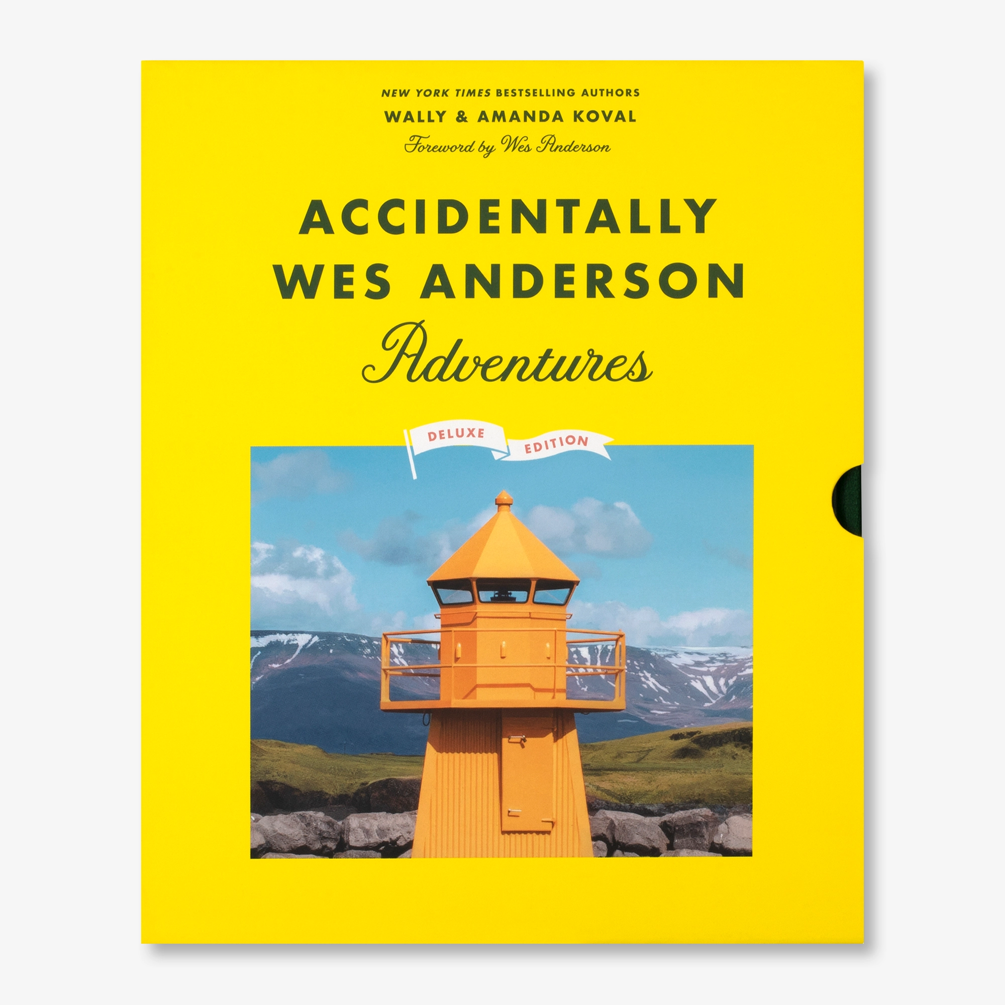Accidentally Wes Anderson